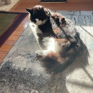 Meet your Posher, Lynn